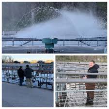 Musical fountains, lighthouses & more! Grand Haven Musical Fountain Photos Facebook