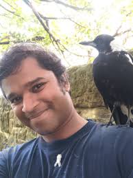 UNSW picks up lion's share of Royal Society of NSW Awards