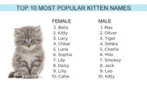 Pin By Today Show On Cuteness Kitten Names Boy Cat Names Cute Cat Names