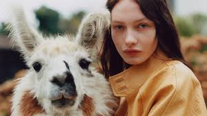 Melote House: a modernist new safari home