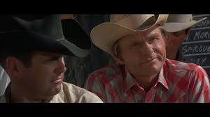 ジュニア・ボナー／華麗なる挑戦