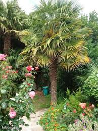 Le meilleur du pire de leboncoin.fr. Outils De Jardinage Tondeuse D Occasion Brest 29200 Leboncoin