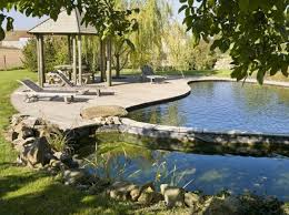 Piscines Naturelles 12 Bonnes Raisons De Plonger Elle Decoration Piscine Naturelle Piscines Design Piscine