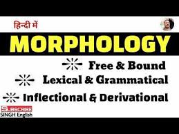 On nouns and pronouns inflectional morphemes mark (semantic) notions like number andã‚ (grammatical) categories like gender and. Morphology Lexical Grammatical Morphology Free Bound Morpholgy Inflectional Derivational Https Youtu Be Morphology Linguistics Morphology Linguistics