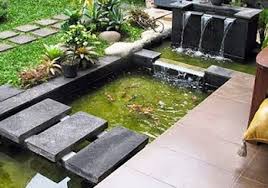 Kolam Ikan Minimalis Belakang Rumah Nampak Hijau Kolam Ikan Kolam Hijau