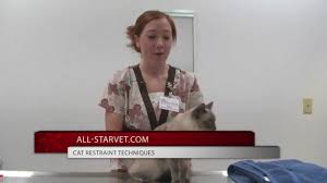 How to restrain a cat. How To Restrain Your Cat Cat Restraint Vet All Star Veterinary Clinic Vet Assistant Vet Med Stuffed Animal Cat