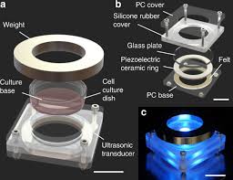 Maybe you would like to learn more about one of these? Enzyme Free Release Of Adhered Cells From Standard Culture Dishes Using Intermittent Ultrasonic Traveling Waves Communications Biology