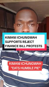 Kimani Ichungwah Stands Behind Reject Finance Bill Protests