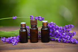 17,000+ vectors, stock photos & psd files. Essential Oils May Disrupt Normal Hormonal Activity