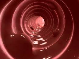 Die farbe ist dabei ein indiz für die blutungsquelle. Blut Im Stuhl Das Kann Alles Dahinterstecken