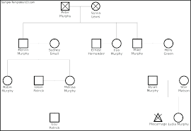 Genogram Template Social Work Distrack Info