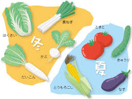 「冬の野菜」の画像検索結果