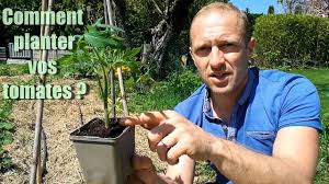 Nettoyez le sol à 20 cm de profondeur pour y placer les orties hachées. Comment Planter Ses Tomates Tuto Youtube