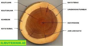 We did not find results for: Ilmu Teknik Fungsi Dan Manfaat Bagian Bagian Kayu Dalam Proyek Konstruksi Ilmu Teknik