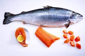 Bahan siomay 1 ekor ikan salem 5 sdm tepung tapioka 1/2 buah labu siam rebus 1/2 sdm minyak wijen 1/2 sdm saos tiram 1/2 sdt lada. 13 Jenis Ikan Laut Paling Banyak Dikonsumsi Masyarakat Indonesia