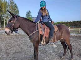 David & Margo Carson