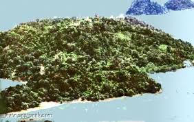 Untuk ke pulau tioman anda perlu menaiki feri dari jeti tanjung gemuk ataupun jeti mersing. Pulau Pisang Johor Malaysia