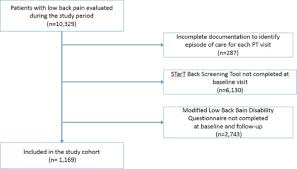 Image result for Start Back Screening Tool
