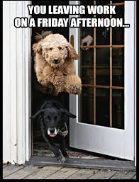 Joke4fun Memes Ahhh Friday At Last I (to give) library last friday. joke4fun memes ahhh friday at last