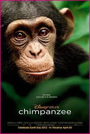 Sigourney weaver's highest grossing movies have received a lot of accolades over the years, earning millions upon millions around the world. Movie Reviews By Max Chimpanzee Shorebread