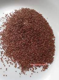 Mase anak sedara aku kena bisul. Seri Kenangan Masa Kecil Telur Kodok Obat Bisul Kompasiana Com