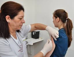 Fiebre Amarilla: Alerta Máxima en Argentina ante el Avance Regional