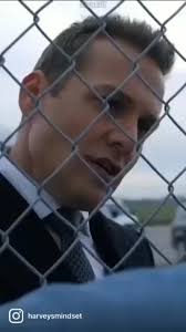 Donna's class—Suits keeps my spirit sleek. Class it up, follow @suits_fann!  . . . . . . . . . #SuitsAddict #SuitsLove #LouisLitt #JessicaPearson  #SuitsSuits #SuitsDrama #SuitsSeason9 #SuitsFinale #TeamMike #SuitsNYC