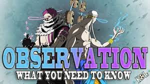 Color Of Observation Haki Explained Katakuri Enel Kenbunshoku Types One Piece Theories One Piece Chapter Observation
