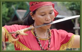 Winners November 2023 |