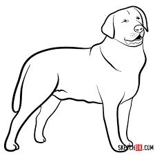 We did not find results for: Labrador Retriever Drawing Step By Step Novocom Top