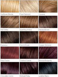 Hair Colour Chart In 2019 Loreal Hair Red Hair Color