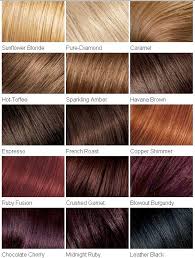 hair colour chart in 2019 loreal hair red hair color