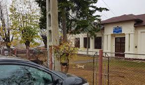 Poți anula alertele email oricând dorești. Moreni Pentru CÄ PrimÄria Nu A GÄsit IncÄ 16 000 De Lei Pentru Cateva Calorifere Zeci De Copii MutaÈi La AltÄ Unitate De InvÄÈÄmant