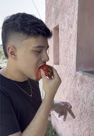 Onde Vende Morango Do Amor Aque Na Vila Maria Sona Norte De Sp