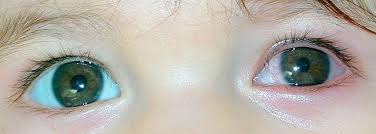 Prof Dr E Cumhur Sener Goz Hastaliklari Uzmani