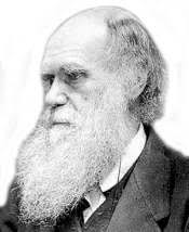 Be hav ior and Evo lu tion