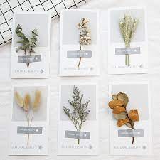 Dried flowers aren't the only botanicals that make great additions to rustic invitations. 5pcs Lot Beautiful Greeting Cards Thank You Cards With Dried Flowers Dried Leaves Valentines Day Gift Wedding Invitation Cards Cards Invitations Aliexpress