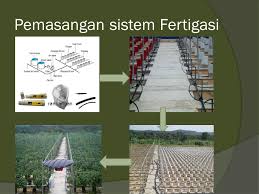 6)menjimatkan penggunaan air dan baja. Fertigasi Oleh Farliana Wardani Dosen Pengampu Ir Ppt Download