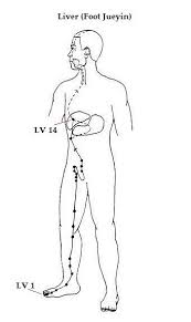 Liver Meridian Annie Au Yoga Yin Poses Meridians Yin Yoga