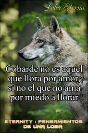 Ilusion Frases De Lobos Fotos De Animales Salvajes Fotos De Animales