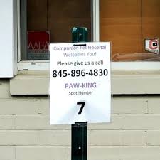 Here at companion animal hospital, we have been providing the highest quality medical care to the pets of the hillsboro area for over 30 years. Companion Pet Hospital 18 Photos Veterinarians 8 Rte 9 Fishkill Ny Phone Number