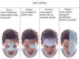 Contoh, sakit kepala di bagian depan. 7 Punca Rasa Sakit Kepala Dr Rozmey Herba Prima Marketing
