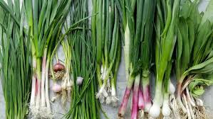 A Beginner S Guide To Spring Alliums The Best Early Taste Of Spring Onion Leeks Garlic Chives Spring Onion