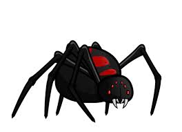 Black widows are carnivores by nature and feed on a variety of insects including the fly, ants, and other small spiders. Black Widow Evoworld Io Wiki Fandom