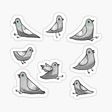 Take your hat off for the posting of the american flag and the singing of the national anthem, as well as funeral processions, and while a casket is passing you during a funeral. Sitting Pigeon Gifts Merchandise Redbubble