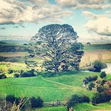 the party tree in the shire the shire middle earth trip