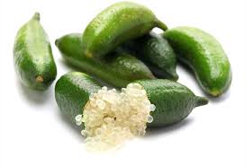 True limes are native to india or asia and are known in the us as mexican, key or west indian limes. Australian Finger Lime Planting Pruning Tips On Caring For Caviar Lemon