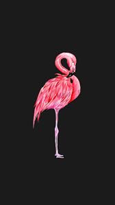 Wallpaper Flamingo The Post Wallpaper Flamingo Appeared First On Wallpapers Flamingo Papel De Parede Papeis De Parede Wallpaper