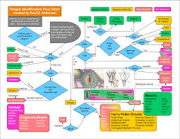Dragon Identification Gyias Blog