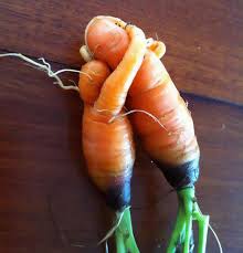 I read about a restaurant that uses weird shaped fruit and vegetables because the stores wont sell them. 103 Oddly Shaped Fruits Vegetables That Will Make You Look Twice Bored Panda